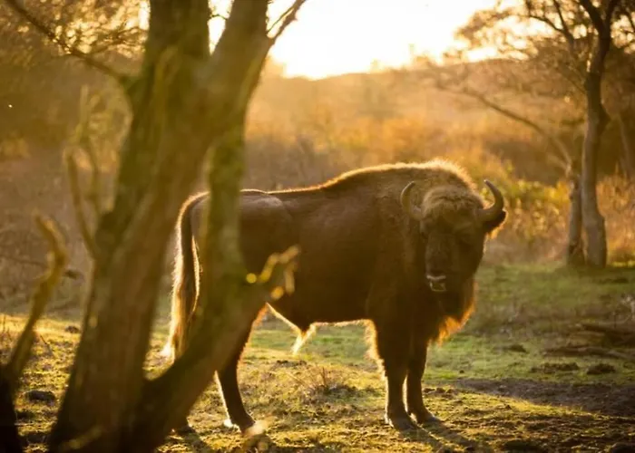 Beachtime Close To The Beach, Centre *