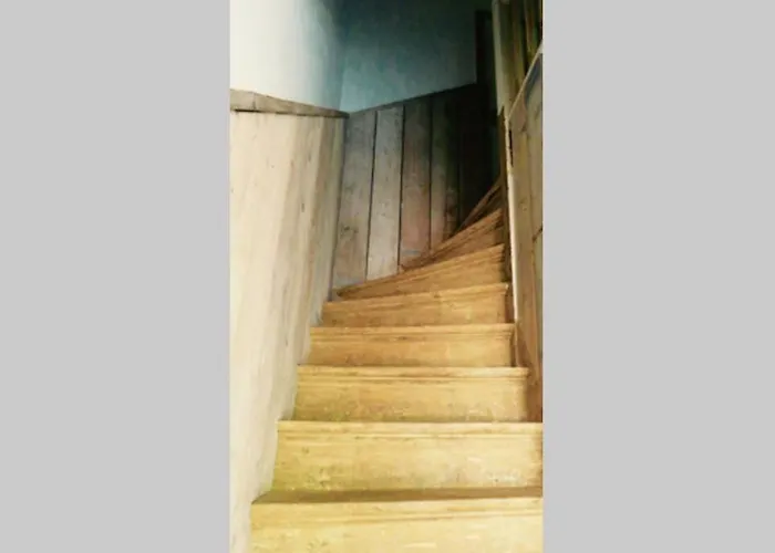 Beachtime Close To The Beach, Centre زاندفورت