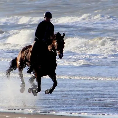 Beachtime Close To The Beach, Centre * Zandvoort