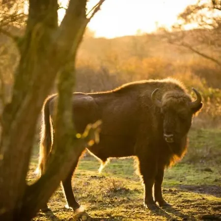 Beachtime Close To The Beach, Centre *